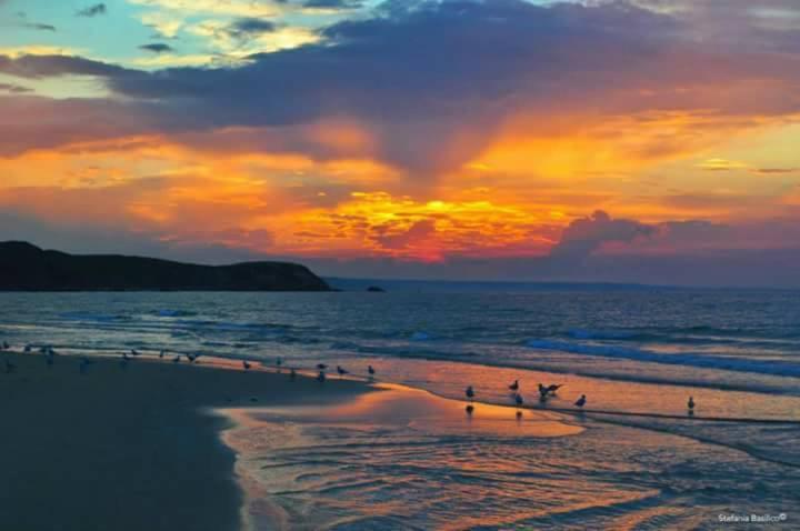 L'angolo di Nina Vasto Esterno foto